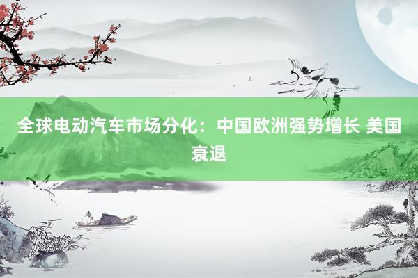 全球电动汽车市场分化:中国欧洲强势增长 美国衰退