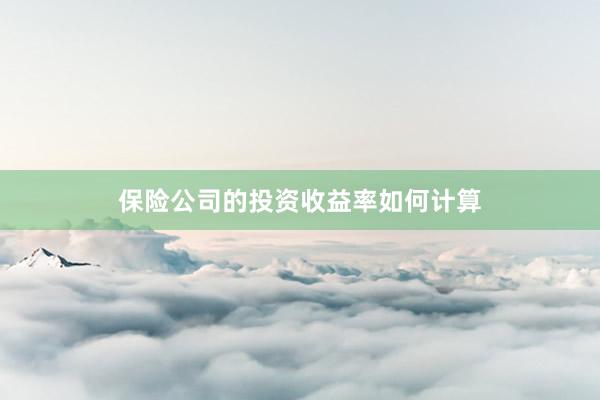 保险公司的投资收益率如何计算