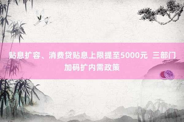 贴息扩容、消费贷贴息上限提至5000元  三部门加码扩内需政策