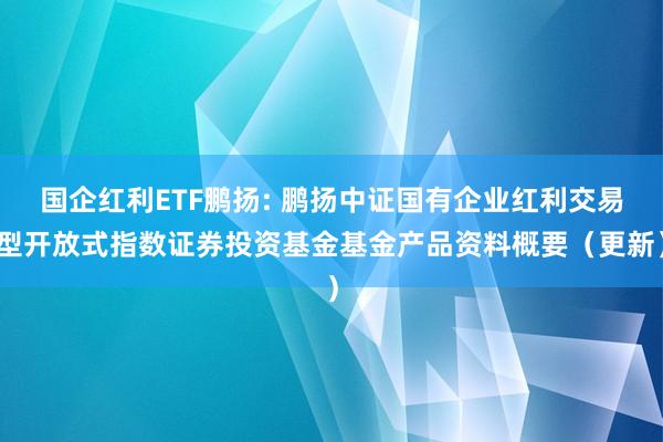 国企红利ETF鹏扬: 鹏扬中证国有企业红利交易型开放式指数证券投资基金基金产品资料概要（更新）