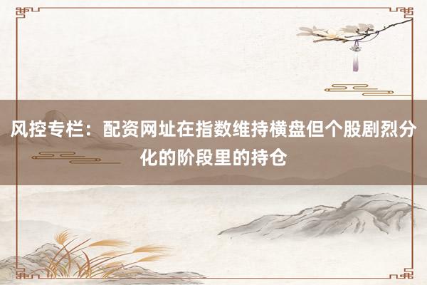 风控专栏：配资网址在指数维持横盘但个股剧烈分化的阶段里的持仓