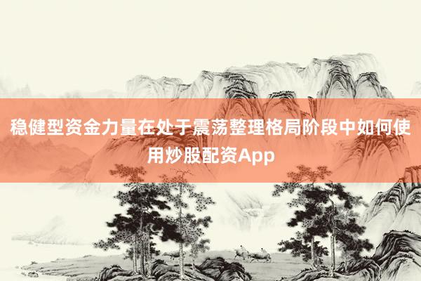 稳健型资金力量在处于震荡整理格局阶段中如何使用炒股配资App