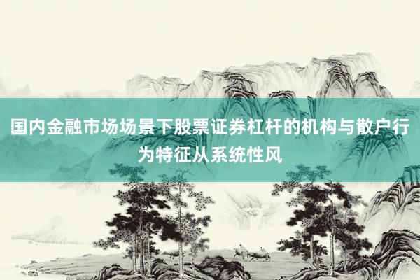 国内金融市场场景下股票证券杠杆的机构与散户行为特征从系统性风