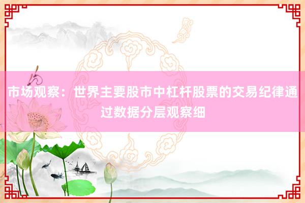 市场观察：世界主要股市中杠杆股票的交易纪律通过数据分层观察细