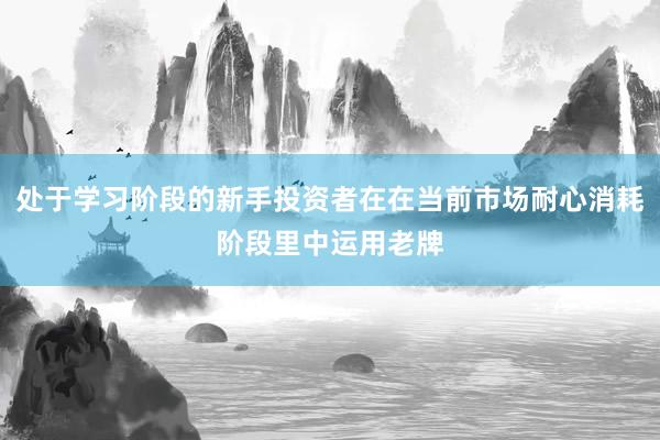 处于学习阶段的新手投资者在在当前市场耐心消耗阶段里中运用老牌