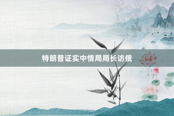 特朗普证实中情局局长访俄