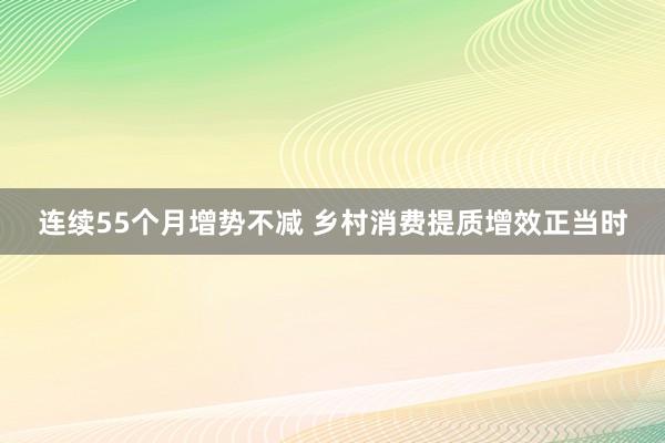 连续55个月增势不减 乡村消费提质增效正当时