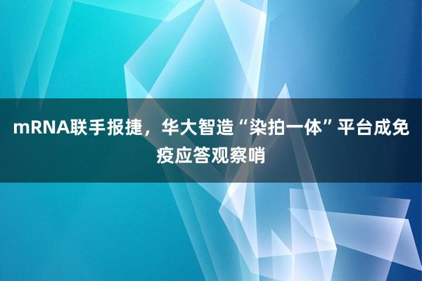 mRNA联手报捷，华大智造“染拍一体”平台成免疫应答观察哨