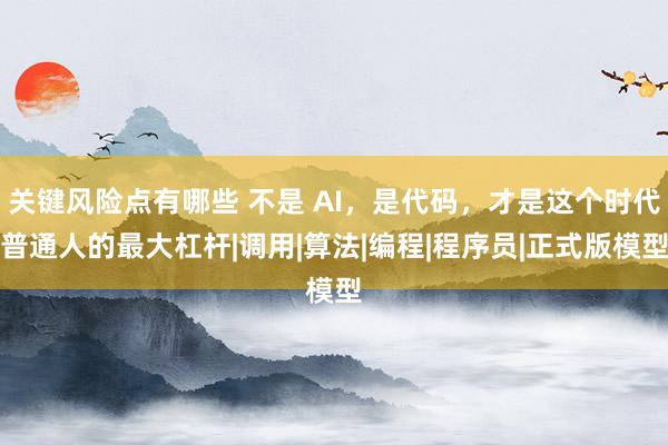 关键风险点有哪些 不是 AI,是代码,才是这个时代普通人的最大杠杆|调用|算法|编程|程序员|正式版模型