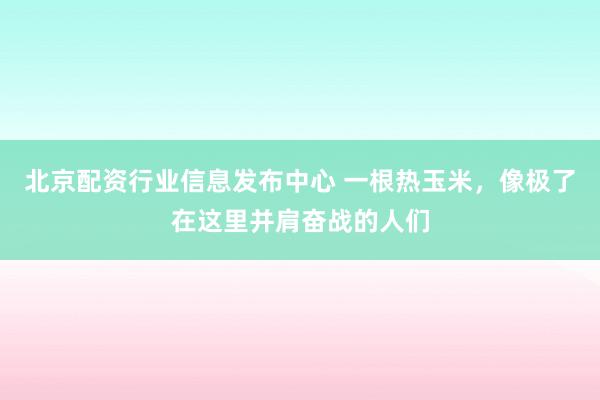 北京配资行业信息发布中心 一根热玉米，像极了在这里并肩奋战的人们