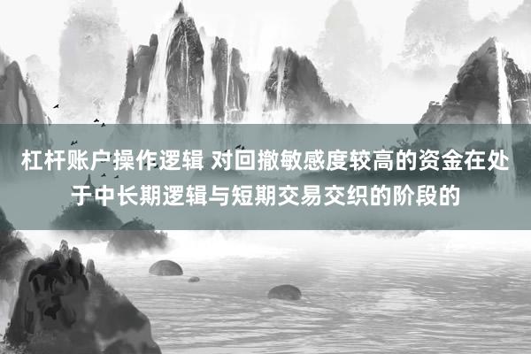 杠杆账户操作逻辑 对回撤敏感度较高的资金在处于中长期逻辑与短期交易交织的阶段的