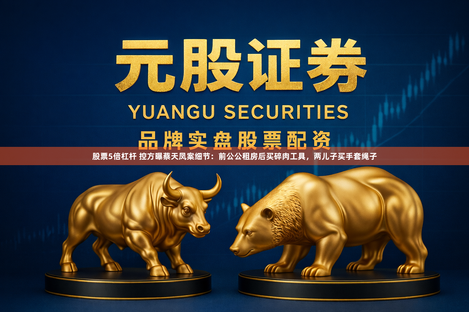 股票5倍杠杆 控方曝蔡天凤案细节：前公公租房后买碎肉工具，两儿子买手套绳子
