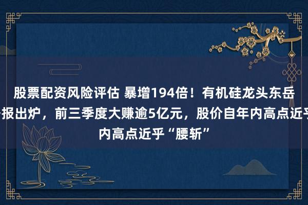 股票配资风险评估 暴增194倍!有机硅龙头东岳硅材三季报出炉,前三季度大赚逾5亿元,股价自年内高点近乎“腰斩”